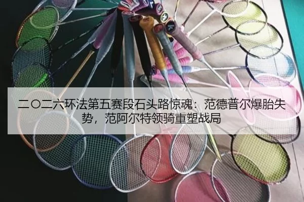 二〇二六环法第五赛段石头路惊魂：范德普尔爆胎失势，范阿尔特领骑重塑战局